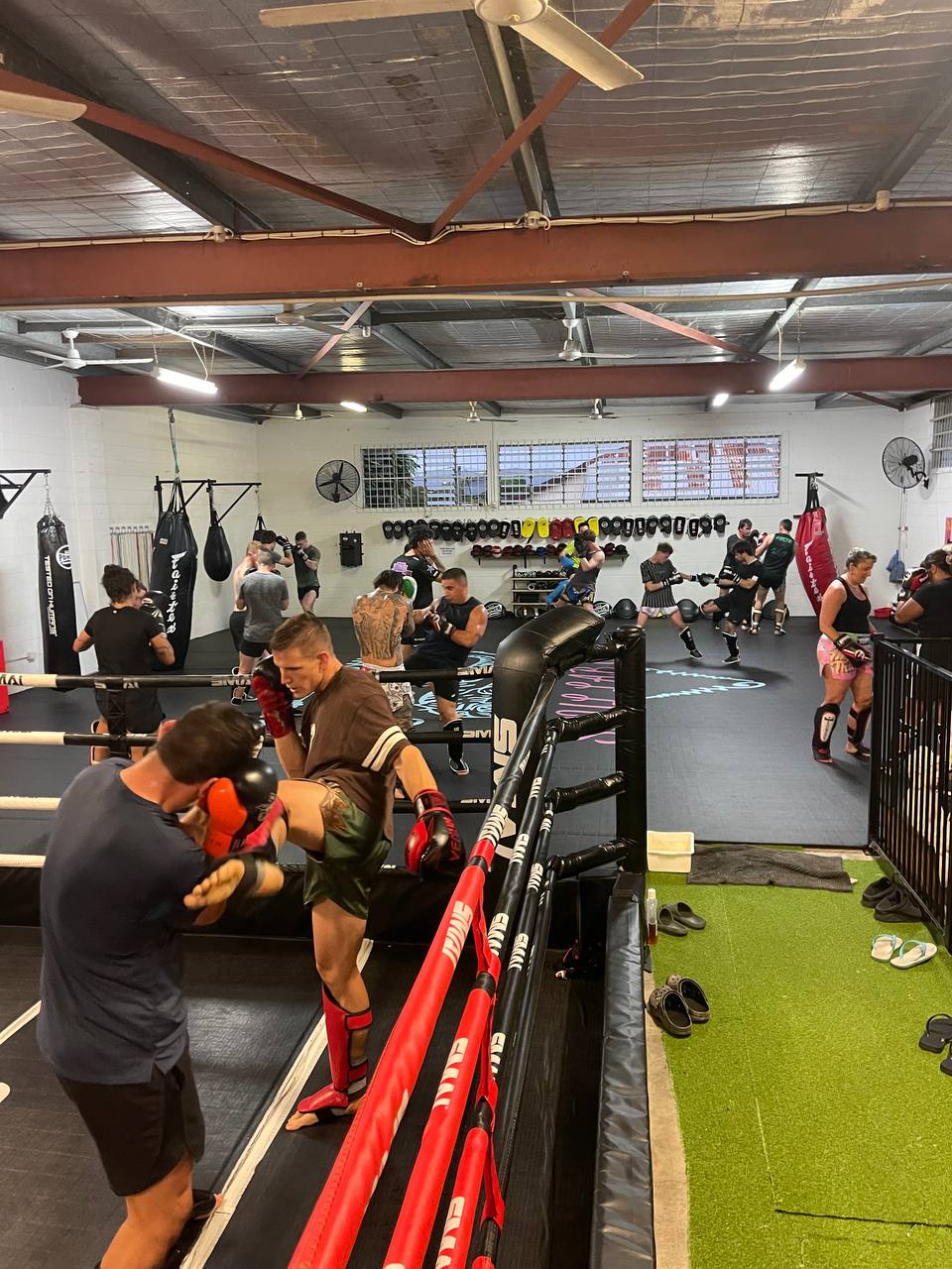 Ring sparring action